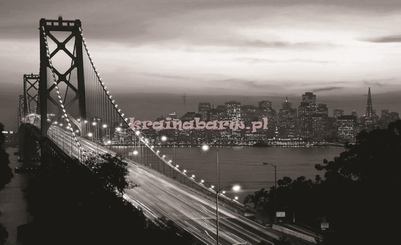 Fototapeta na flizelinie 419VE Bay Bridge