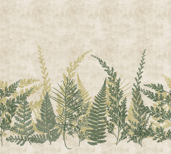 Tapeta Mural Herbarium Fern HED27293 paproć