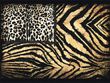 mural ekskluzywny RC 19102 Roberto Cavalli cętki, zebra