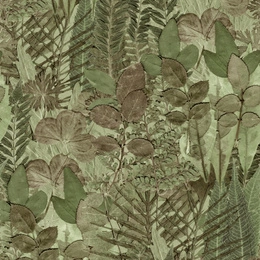 Tapeta Mural Herbarium HED27295 zielnik