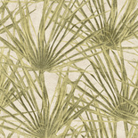 Tapeta Herbarium Palm HE27261 liście palmy