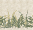 Tapeta Mural Herbarium Fern HED27293 paproć