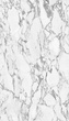 Tapeta Mural White Marble A55501