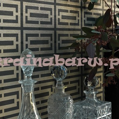 Tapeta W6330-01 Kikko trellis Vinyl