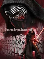 Fototapeta The First Order 2750P4A